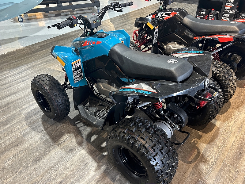 ATV & Utility Vehicles  2024 CAN-AM RENEGADE 110 EFI YOUTH ATV Photo