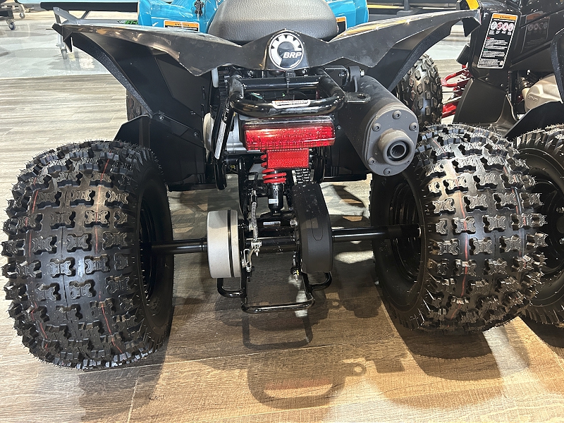 ATV & Utility Vehicles  2024 CAN-AM RENEGADE 110 EFI YOUTH ATV Photo