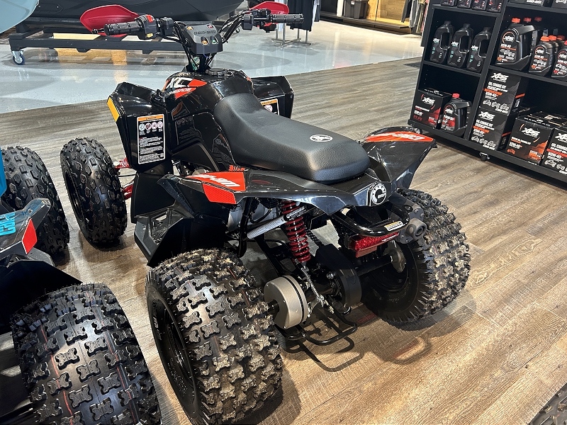 ATV & Utility Vehicles  2024 CAN-AM RENEGADE XXC 110 EFI YOUTH ATV Photo