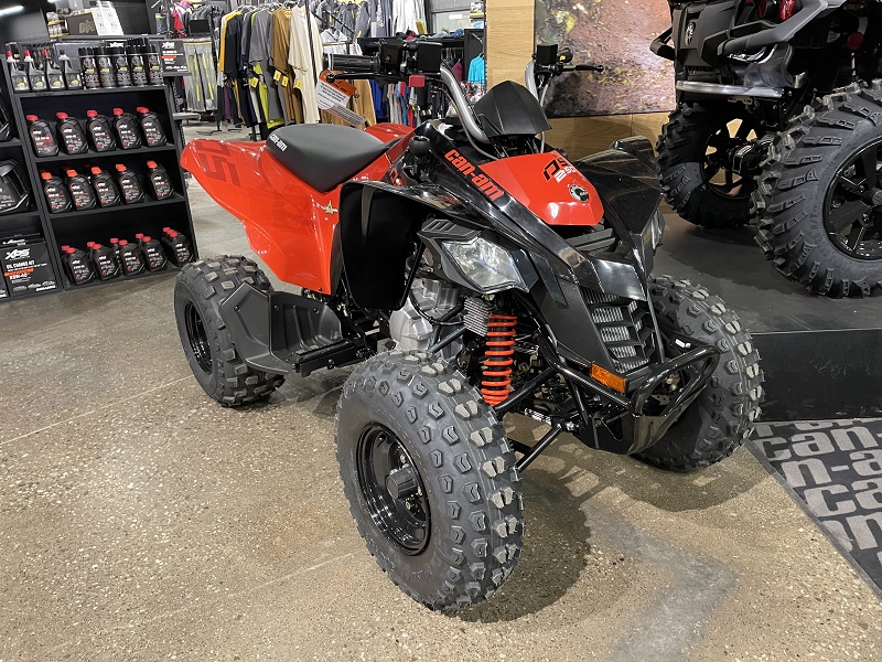 Delta Power Equipment 2024 CANAM DS250 YOUTH ATV