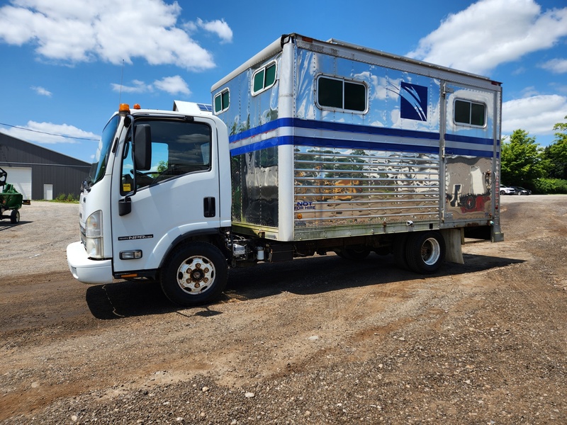 Heavy Trucks  2009, Isuzu NPR Truck / Horse Box Photo