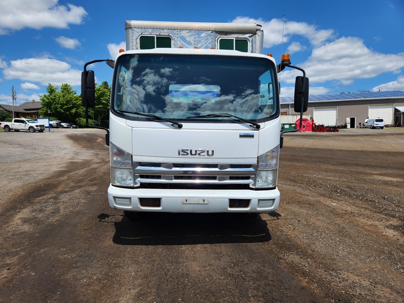 Heavy Trucks  2009, Isuzu NPR Truck / Horse Box Photo