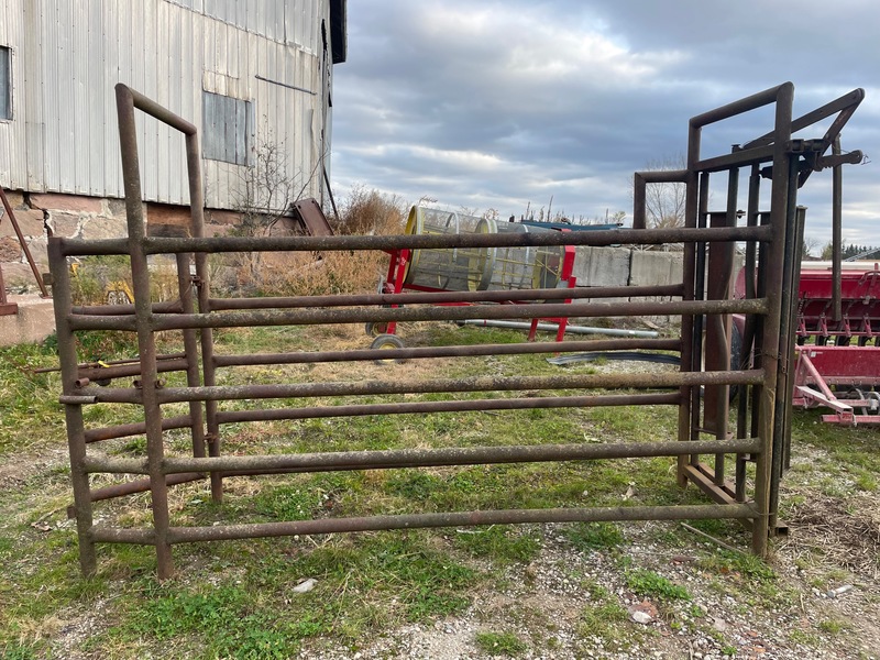 Hay/Forage/Livestock  Cattle Chute with Head Gate Photo