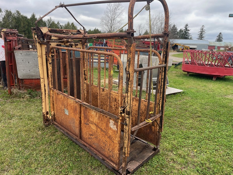 Hay/Forage/Livestock  Cattle Chute With Head Gate Photo