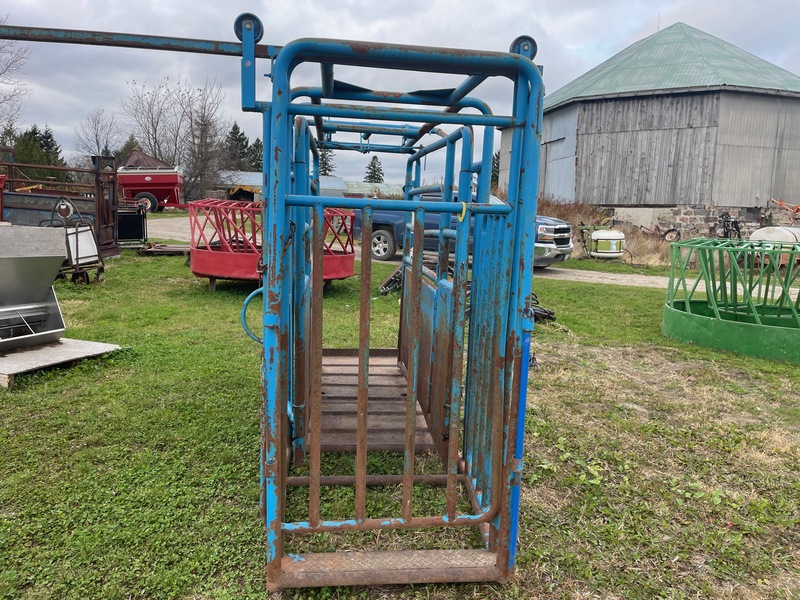 Hay/Forage/Livestock  Cattle Squeeze Gate Chute Photo