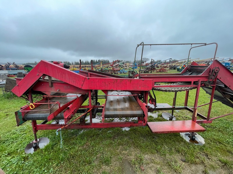 Vegetable Equipment  Double Potato Grader + Conveyer Photo