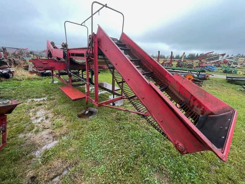 Vegetable Equipment  Double Potato Grader + Conveyer Photo